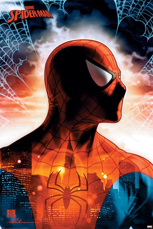 Marvel: Spider-Man (Protector Of The City)