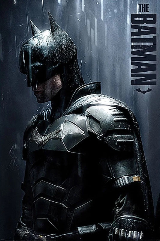 DC Comics: The Batman (Downpour)